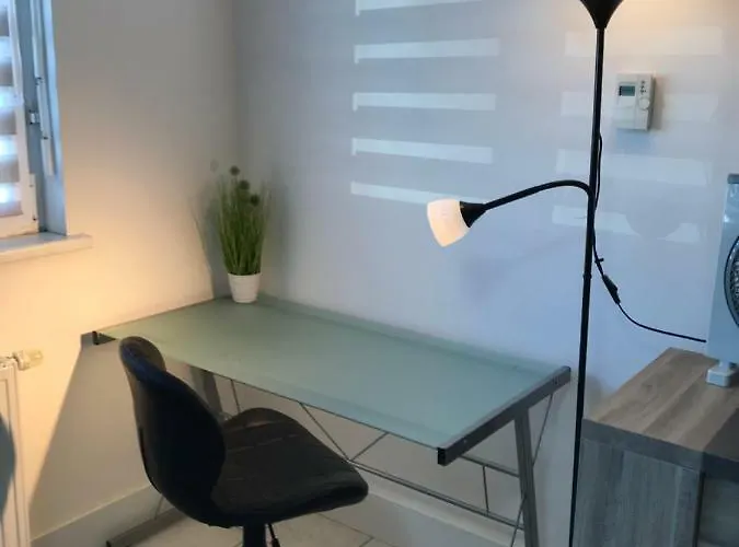 Le 'zone' Sarreguemines